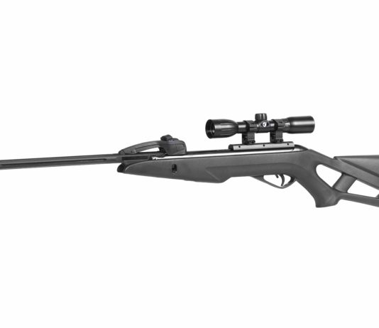 Gamo Swarm Fox, leggera e performante