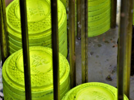 Il nuovo calendario delle gare di tiro Beretta Il nuovo calendario delle gare di tiro Beretta: piattelli gialli impilati