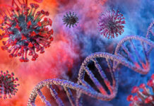 Porto d’armi a rischio: durante l’emergenza sanitaria bisogna mantenere comportamenti responsabili Porto d’armi a rischio durante l’emergenza sanitaria: coronavirus covid-19