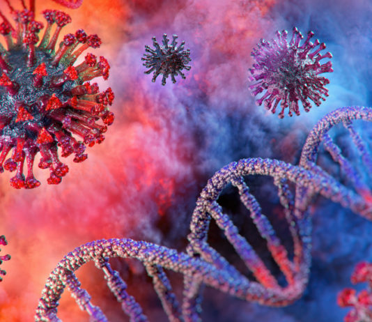 Porto d’armi a rischio: durante l’emergenza sanitaria bisogna mantenere comportamenti responsabili Porto d’armi a rischio durante l’emergenza sanitaria: coronavirus covid-19