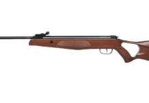 Diana Two-Fifty e Two-Sixty, il mollone è entry level Diana Two-Fitfy 4,5 mm