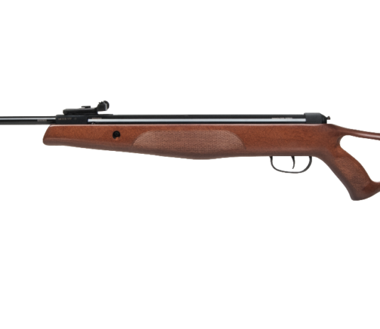 Diana Two-Fifty e Two-Sixty, il mollone è entry level Diana Two-Fitfy 4,5 mm