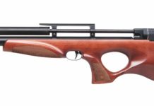 Diana Pcp SkyHawk, aria compressa e… compatta