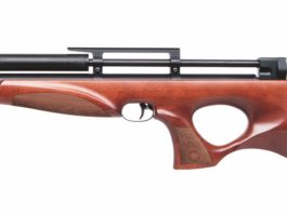 Diana Pcp SkyHawk, aria compressa e… compatta