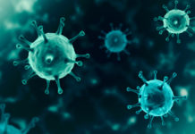 Armi, licenze e Covid-19: a che punto siamo? Armi, licenze e Covid-19 a che punto siamo