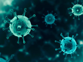 Armi, licenze e Covid-19: a che punto siamo? Armi, licenze e Covid-19 a che punto siamo