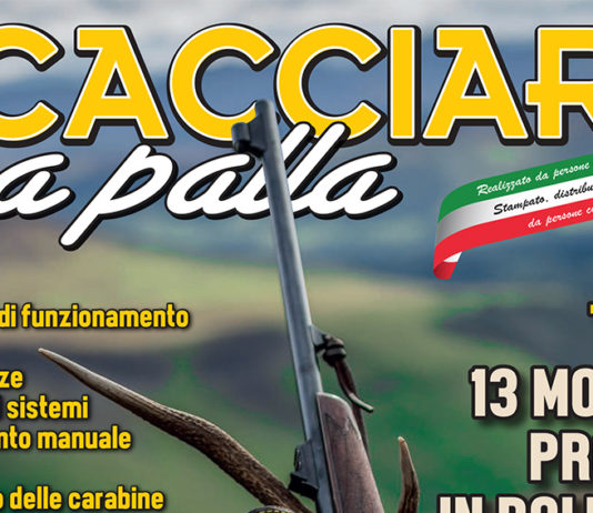 La carabina bolt action non ha più segreti: lo Speciale Bolt action è in edicola La carabina bolt action non ha più segreti lo Speciale Bolt action è in edicola