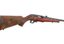 Ruger 10/22 Sporter Dragon, un’arma da collezione tra i fucili sportivi Ruger 10-22 Sporter Dragon, arma da collezione tra i fucili sportivi
