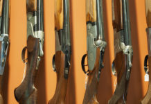 Accesso al credito per le armerie: protocollo Assoarmieri, FinPromoTer e Federascomfidi Accesso al credito per le armerie: fucili in mostra in un'armeria
