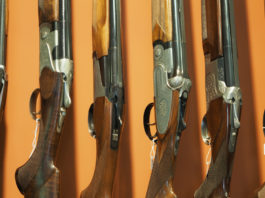 Accesso al credito per le armerie: protocollo Assoarmieri, FinPromoTer e Federascomfidi Accesso al credito per le armerie: fucili in mostra in un'armeria