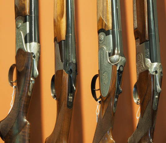 Accesso al credito per le armerie: protocollo Assoarmieri, FinPromoTer e Federascomfidi Accesso al credito per le armerie: fucili in mostra in un'armeria