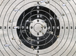 Marco Ghini: “Basta col commissariamento dell’Uits” marco ghini commissariamento dell'Uits: bersaglio per tiro a segno