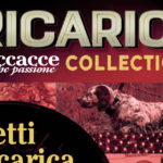 Ricarica Collection 3 è in edicola