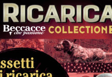 Ricarica Collection 3 è in edicola Ricarica Collection 3 è in edicola
