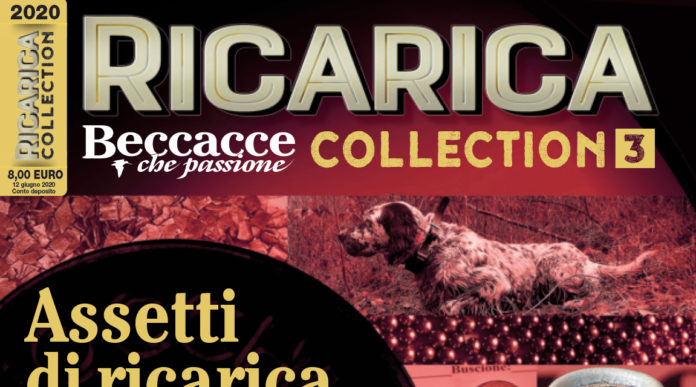 Ricarica Collection 3 è in edicola