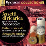 copertina ricarica collection 3