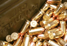 Armeria chiusa dopo servizio televisivo, la sentenza del Tar sul risarcimento Armeria chiusa dopo servizio televisivo: stock di munizioni