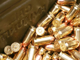 Armeria chiusa dopo servizio televisivo, la sentenza del Tar sul risarcimento Armeria chiusa dopo servizio televisivo: stock di munizioni