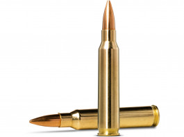 Norma Golden Target, la munizione per il tiro sportivo Norma Golden Target, la munizione per il tiro sportivo