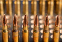 Commento alla sentenza del Consiglio di Stato sulla detenzione di munizioni Commento alla sentenza del Consiglio di Stato sulla detenzione di munizioni