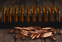 Licenze di pubblica sicurezza, Assoarmieri annuncia corso online licenze di pubblica sicurezza: munizioni in scatola, bossoli e ogive