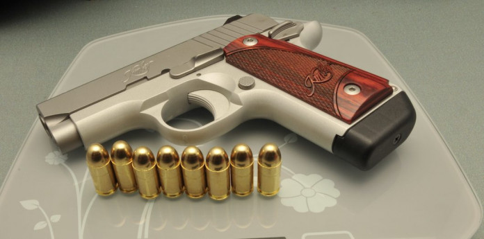 Kimber Micro Stainless