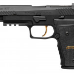fianco sinistro della pistola custom sig sauer m17 best ranger competition