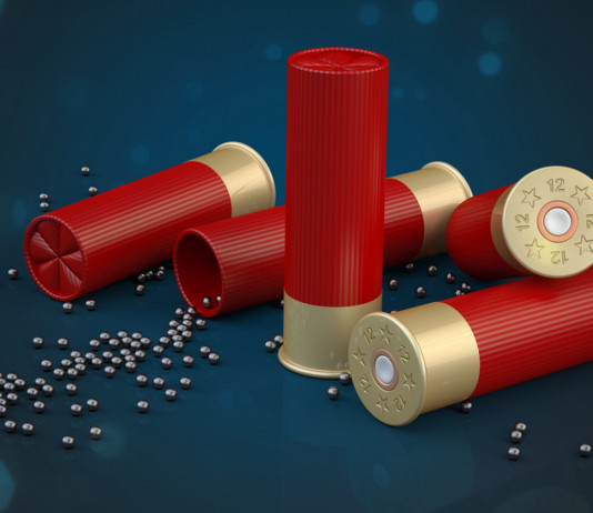 Munizioni in piombo: il questionario di Unarmi per i poligoni munizioni in piombo