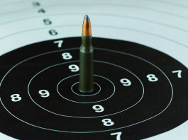 Adorni chiede di annullare le elezioni dell’Uits Adorni chiede di annullare le elezioni dell’Uits: bersaglio per tiro a segno con cartuccia al centro