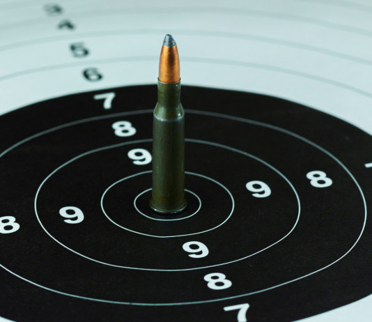 Adorni chiede di annullare le elezioni dell’Uits Adorni chiede di annullare le elezioni dell’Uits: bersaglio per tiro a segno con cartuccia al centro