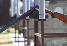 Bologna pronta per l’Europeo di elica europeo di elica: fucile per tiro a volo in campo di tiro