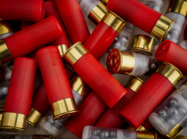 Utilizzo delle munizioni in piombo, il sondaggio Unarmi per i tiratori Utilizzo delle munizioni in piombo, il sondaggio Unarmi per i tiratori