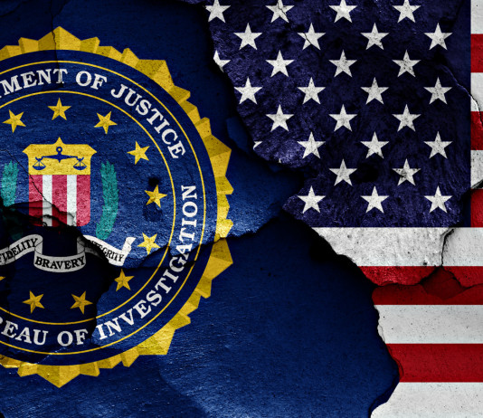 Background check per l’acquisto di armi: i dati di luglio Background check per l’acquisto di armi: bandiera americana e dell'fbi dipinte su mur