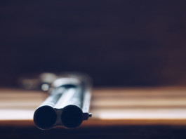 Furto di armi e incauta custodia, la sentenza della Cassazione Furto di armi e incauta custodia: sovrapposto da caccia su tavolo di legno