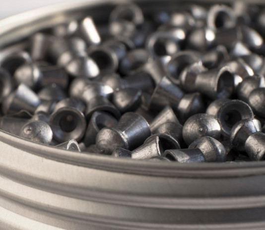 Armi di libera vendita: la sentenza della Cassazione sul porto Armi di libera vendita: pellet per armi ad aria compressa