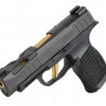fianco sinistro della pistola microcompatta pistola microcompatta Sig Custom P365XL Spectre con nuova finitura