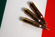 Ddl sulle armi, il commento di Walter Verini (Pd) Ddl sulle armi: munizioni per carabina su bandiera tricolore