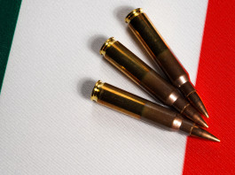 Ddl sulle armi, il commento di Walter Verini (Pd) Ddl sulle armi: munizioni per carabina su bandiera tricolore