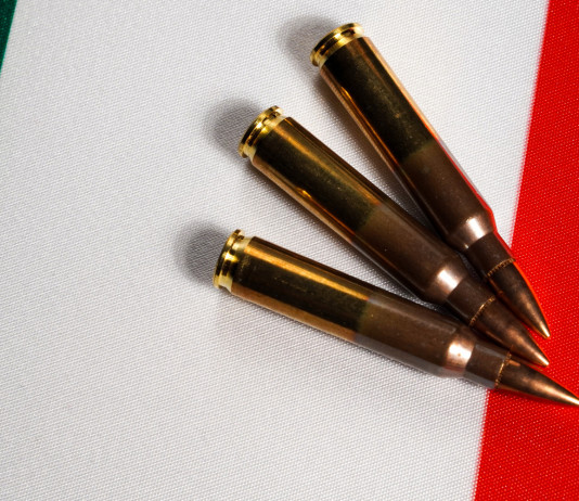 Ddl sulle armi, il commento di Walter Verini (Pd) Ddl sulle armi: munizioni per carabina su bandiera tricolore