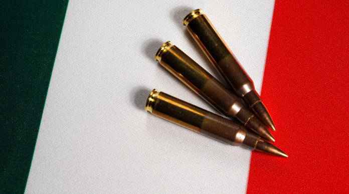 Ddl sulle armi: munizioni per carabina su bandiera tricolore