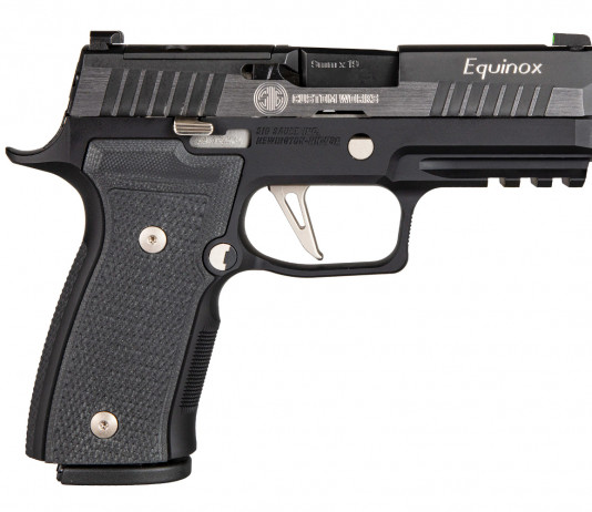 Sig Sauer P320 AXG Equinox, una nuova pistola custom Sig Sauer P320 AXG Equinox, una nuova pistola custom