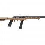 fde 20 colpi, carabina semiautomatica .22 LR model 64 precision