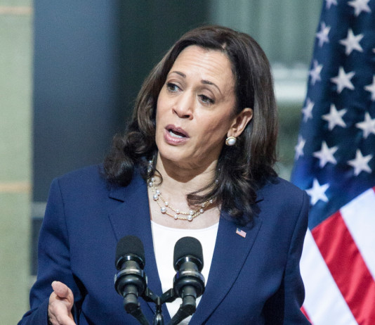 Armi d’assalto in America, la posizione di Kamala Harris Armi d’assalto in America, la posizione di Kamala Harris
