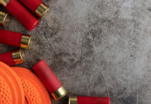 Gare internazionali di tiro a volo, Umbria protagonista dell’estate Gare internazionali di tiro a volo: piattello con munizioni