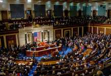 Controlli sulle armi in America: verso l’accordo bipartisan Controlli sulle armi in America: parlamento americano