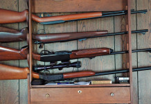 Trasferimento di armi al figlio: la sentenza del Consiglio di Stato Trasferimento di armi al figlio: tre carabine e un fucile nella rastrelliera