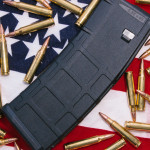 Caricatori ad alta capacità e carabine semiautomatiche in America, Camera approva restrizioni Caricatori ad alta capacità e carabine semiautomatiche in America