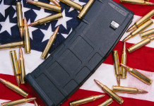 Caricatori ad alta capacità e carabine semiautomatiche in America, Camera approva restrizioni Caricatori ad alta capacità e carabine semiautomatiche in America