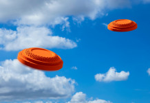 Mondiale di tiro a volo: il programma Mondiale di tiro a volo: due piattelli