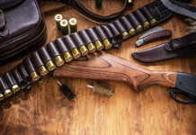 Reati e divieto automatico di porto d’armi: la sentenza Reati e preclusione automatica del porto d’armi: fucile a pompa e cartucce su tavolo di legno